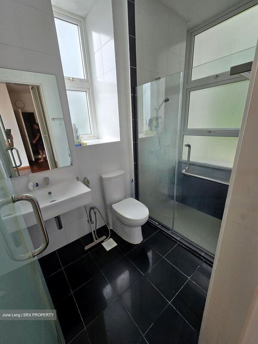 Eden View (D19), Apartment #457900351